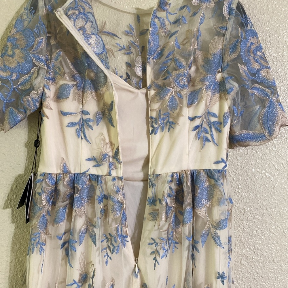NWT Adrianna Papell Long Illusion Embellished Mesh Gown Size 4 - Picture 13 of 15